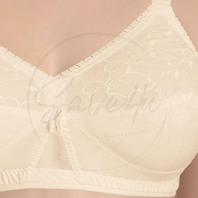 Pack of 2 Non Padded Non Wired Embroidered For Women
