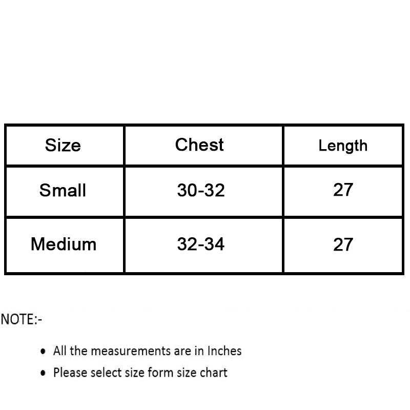 2 Pcs Baby-doll Soft Net Lingerie