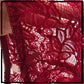 Ladies Floral Lace Design Push-up Padded Wired Bra Set