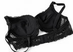 Elegance Lace Double Padded Bra Set