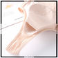 Padded Zipper Front Open Non Wired Support Bra