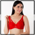 Non-Padded Underwired Mesh Bra
