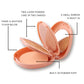 Miss Rose 2 in 1 Compact Powder