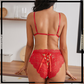 Women's Corset Bra Briefs Sensual Lingerie