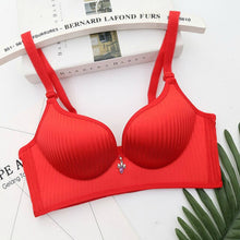 Load image into Gallery viewer, Pack of 3 New Design Comfortable Wirefree Padded Bra
