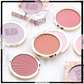 MISS ROSE Professional Blush Powder