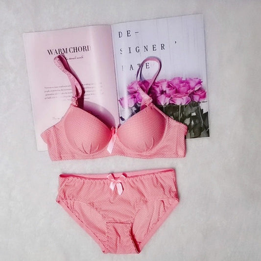 Seamless Support Bra and Brief Pantie for Women